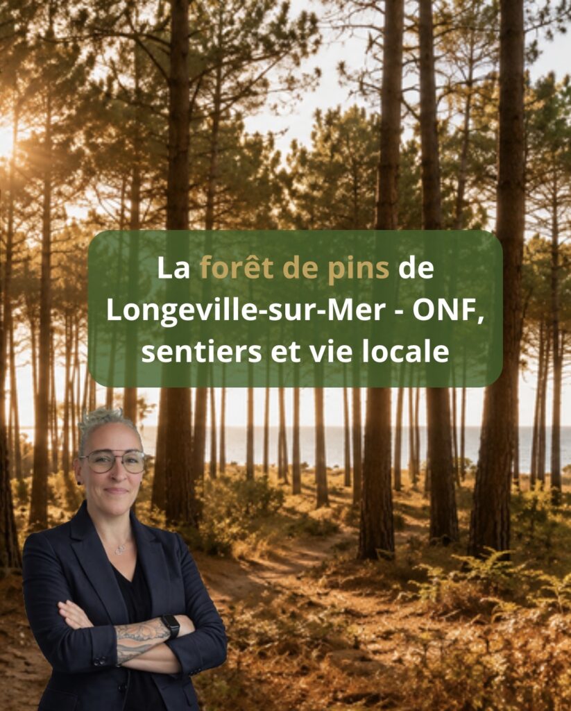 Forêt de pins maritimes Longeville-sur-Mer 85560 — forêt domaniale ONF massif littoral Vendée 560 hectares